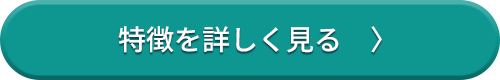 特徴を詳しく見る